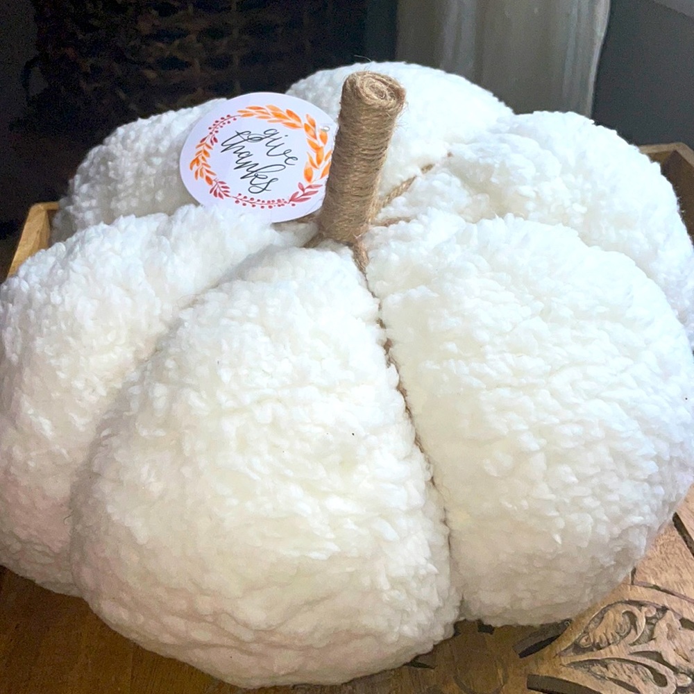 Sherpa Pumpkin Pillow NWT! Soft & Cozy adds a touch of warmth and comfort